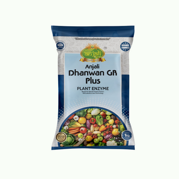 Dhanwan GR Plus Plant Enzyme